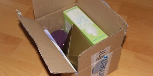 Beitragsbild des Blogbeitrags Review: Onlineshop ihreLinsen.at 