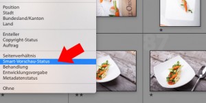 Beitragsbild des Blogbeitrags Lightroom Bibliotheksfilter: Bilder mit (oder ohne) Smart-Vorschauen finden