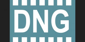 Beitragsbild des Blogbeitrags DNG-Format, das digitale Negativ