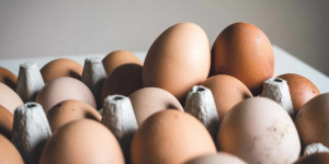 Beitragsbild des Blogbeitrags Welches Ei ist am besten für Umwelt & Henne? 