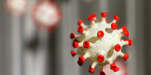 Beitragsbild des Blogbeitrags Sterblichkeit an COVID-19 innerhalb des ersten Jahres nach allogener Stammzelltransplantation deutlich erhöht