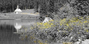 Beitragsbild des Blogbeitrags Kleinod und Naturidyll Ingeringsee