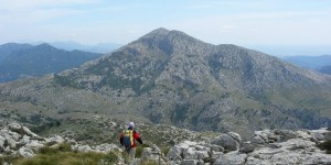 Beitragsbild des Blogbeitrags Alicioustravels: Mallorca