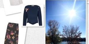 Beitragsbild des Blogbeitrags HERBST-TRENDS 2017