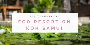 Beitragsbild des Blogbeitrags The Tongsai Bay Part II – Eco Resort Koh Samui