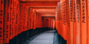 Beitragsbild des Blogbeitrags Fushimi Inari-Taisha  Der rote Schrein in Kyoto 