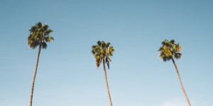 Beitragsbild des Blogbeitrags Urlaubsplanung 2020: Brückentage nutzen und Urlaub maximieren!