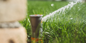 Beitragsbild des Blogbeitrags Automatische Gartenbewässerung: Tipps für Planung und Installation 