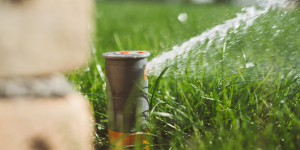 Beitragsbild des Blogbeitrags Automatische Gartenbewässerung: Tipps für Planung und Installation