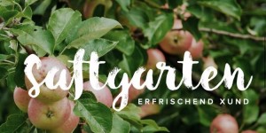 Beitragsbild des Blogbeitrags Detox Saftkur: Wir probieren eine Woche lang die Detox-Kur von Saftgarten 