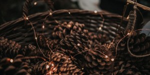Beitragsbild des Blogbeitrags Welches Kleid passt zu deinem Sternzeichen? – Linktipp