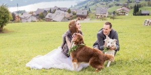 Beitragsbild des Blogbeitrags After wedding Shooting mit den zwei Hunden