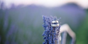 Beitragsbild des Blogbeitrags Lavendel Hochzeit von Jenny & Dominik