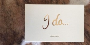 Beitragsbild des Blogbeitrags Wedding Box ist da!
