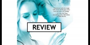 Beitragsbild des Blogbeitrags Review: Stone Cold Touch by Jennifer L. Armentrout 