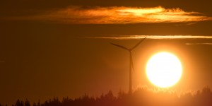 Beitragsbild des Blogbeitrags Die heiße Jahreszeit - Tödliche Hitzefalle Auto