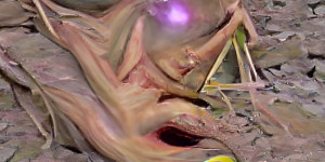 Beitragsbild des Blogbeitrags ABMGW 201 Words Best SF 5