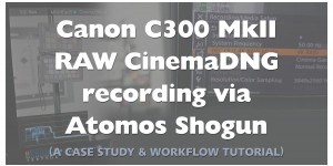 Beitragsbild des Blogbeitrags Atomos Shogun CinemaDNG RAW via Canon C300 Mark II Review 