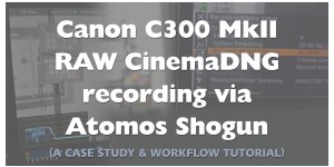 Beitragsbild des Blogbeitrags Atomos Shogun CinemaDNG RAW via Canon C300 Mark II Review
