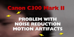 Beitragsbild des Blogbeitrags Canon C300 Mark II / C700 Noise Reduction Motion Artifacts Problem