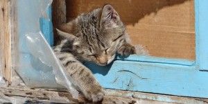 Beitragsbild des Blogbeitrags Urlaub in Kirgistan 