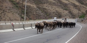 Beitragsbild des Blogbeitrags Das Ende naht in Bishkek… 