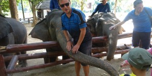 Beitragsbild des Blogbeitrags Ein elefant-astischer Besuch 