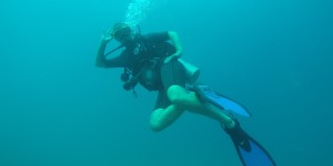 Beitragsbild des Blogbeitrags Eintauchen in die thailändische Unterwasserwelt 