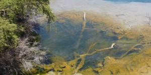 Beitragsbild des Blogbeitrags Üppige Landschaft und höllische Dämpfe