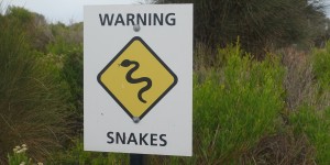 Beitragsbild des Blogbeitrags Das Ende der Great Ocean Road