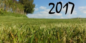 Beitragsbild des Blogbeitrags 2017 - Meine Wünsche und Ziele 