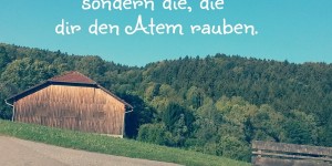 Beitragsbild des Blogbeitrags Wunderminuten - Liebesbrief an meine Kinder