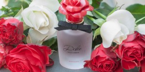 Beitragsbild des Blogbeitrags Must have of the Month: Dolce Rosa Excelsa 