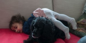 Beitragsbild des Blogbeitrags How it is to have a toddler and two dogs 