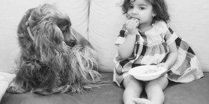 Beitragsbild des Blogbeitrags Having a toddler and two dogs: Jealousy