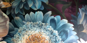 Beitragsbild des Blogbeitrags The most beautiful Wallpapers by Photowall