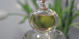 Beitragsbild des Blogbeitrags Must have of the Month: Olympéa