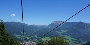 Beitragsbild des Blogbeitrags Tierpark Mautern: Ein tierisch toller Tagesausflug