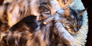 Beitragsbild des Blogbeitrags Instagram: November 2014