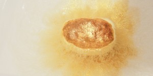 Beitragsbild des Blogbeitrags 3 Gründe um in die SCS zu fahren