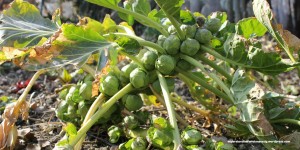 Beitragsbild des Blogbeitrags Wer hat an der Uhr gedreht? 