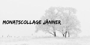 Beitragsbild des Blogbeitrags Monatscollage Januar 2017