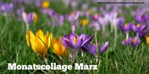 Beitragsbild des Blogbeitrags Monatscollage März 2017