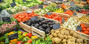 Beitragsbild des Blogbeitrags Wie weit haben wir uns eigentlich wirklich von der Natur entfernt? #6