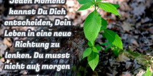 Beitragsbild des Blogbeitrags das Leben in eine neue Richtung lenken