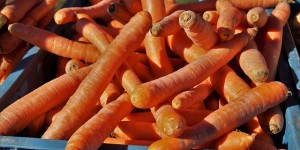 Beitragsbild des Blogbeitrags Resteküche – viel zu viele Karotten 
