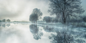 Beitragsbild des Blogbeitrags Gastbeitrag bei „einfach bewusst“: Winterblues adé