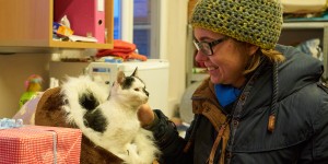 Beitragsbild des Blogbeitrags Besuch im Tierheim Freistadt (Weihnachtsaktion) 