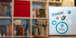 Beitragsbild des Blogbeitrags 11 Fragen für die Katzentante