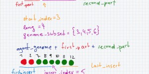 Beitragsbild des Blogbeitrags Learning Club 16: Genetic Algorithms